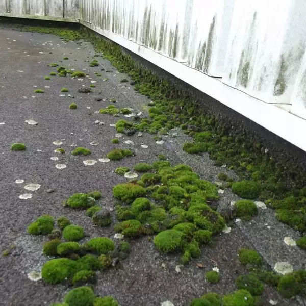 toiture plate abimee 93